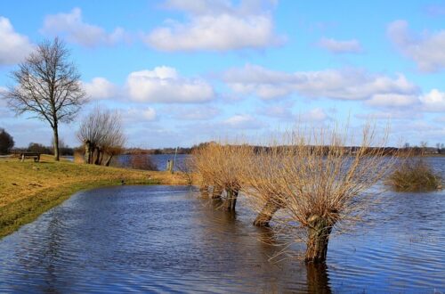 Sikring mod oversvømmelse