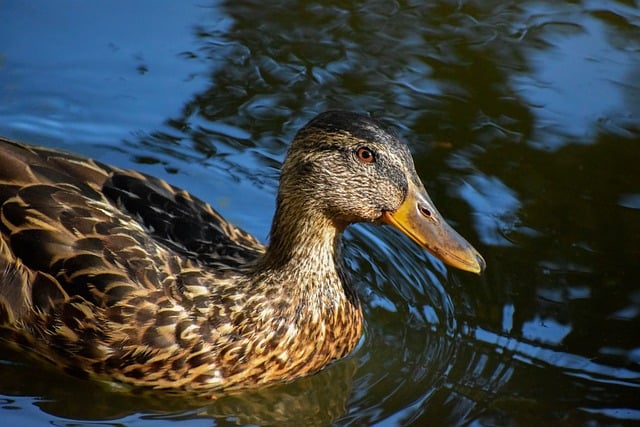 Sådan knækker du koden: 10 tips til at løse krydsord hurtigere