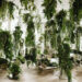Hængende skønheder: Ib Laursens hængeplanter tilføjer elegance til ethvert rum